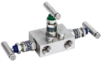 manifold